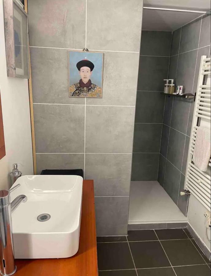 Apartament Loft Sur Saone Lyon Zewnętrze zdjęcie